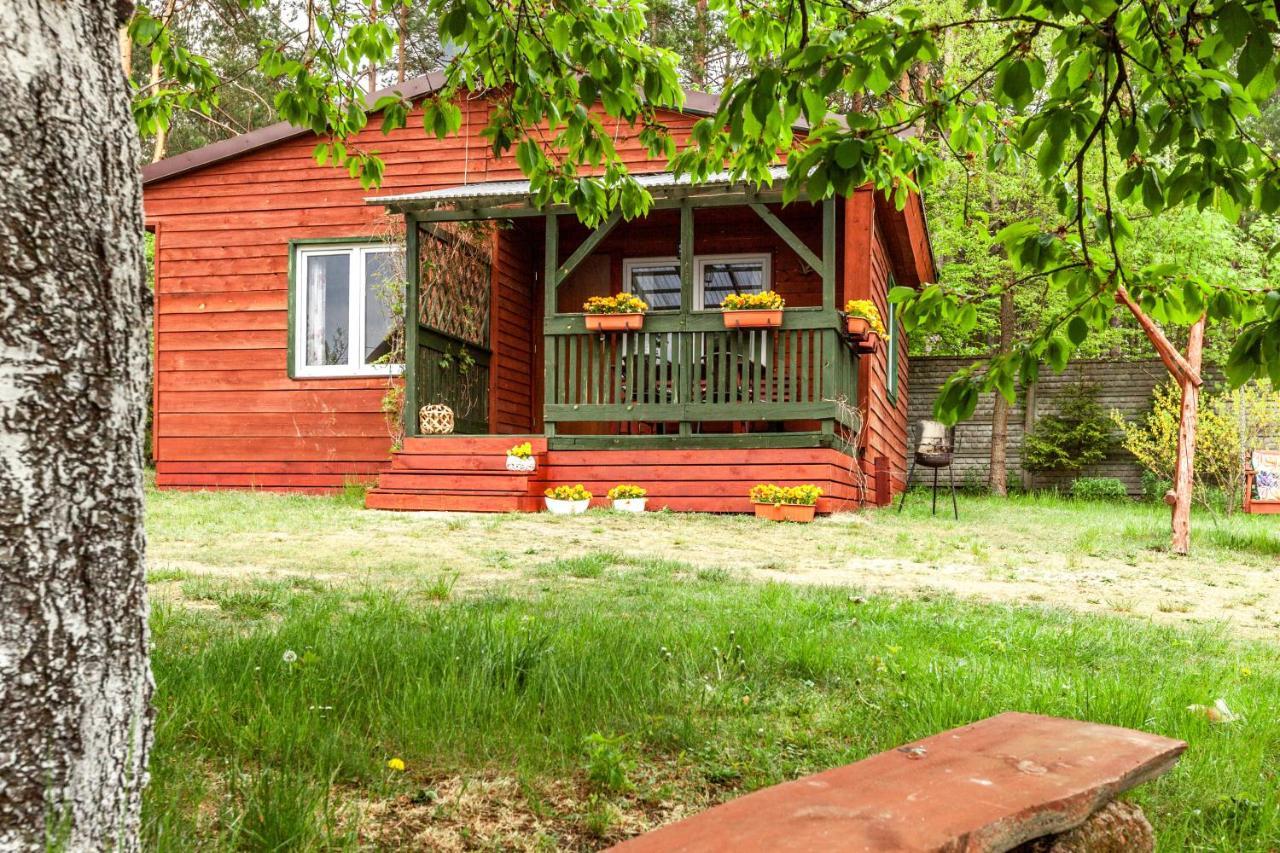 Gryfne Kaszuby Villa Kamienica Krolewska Luaran gambar