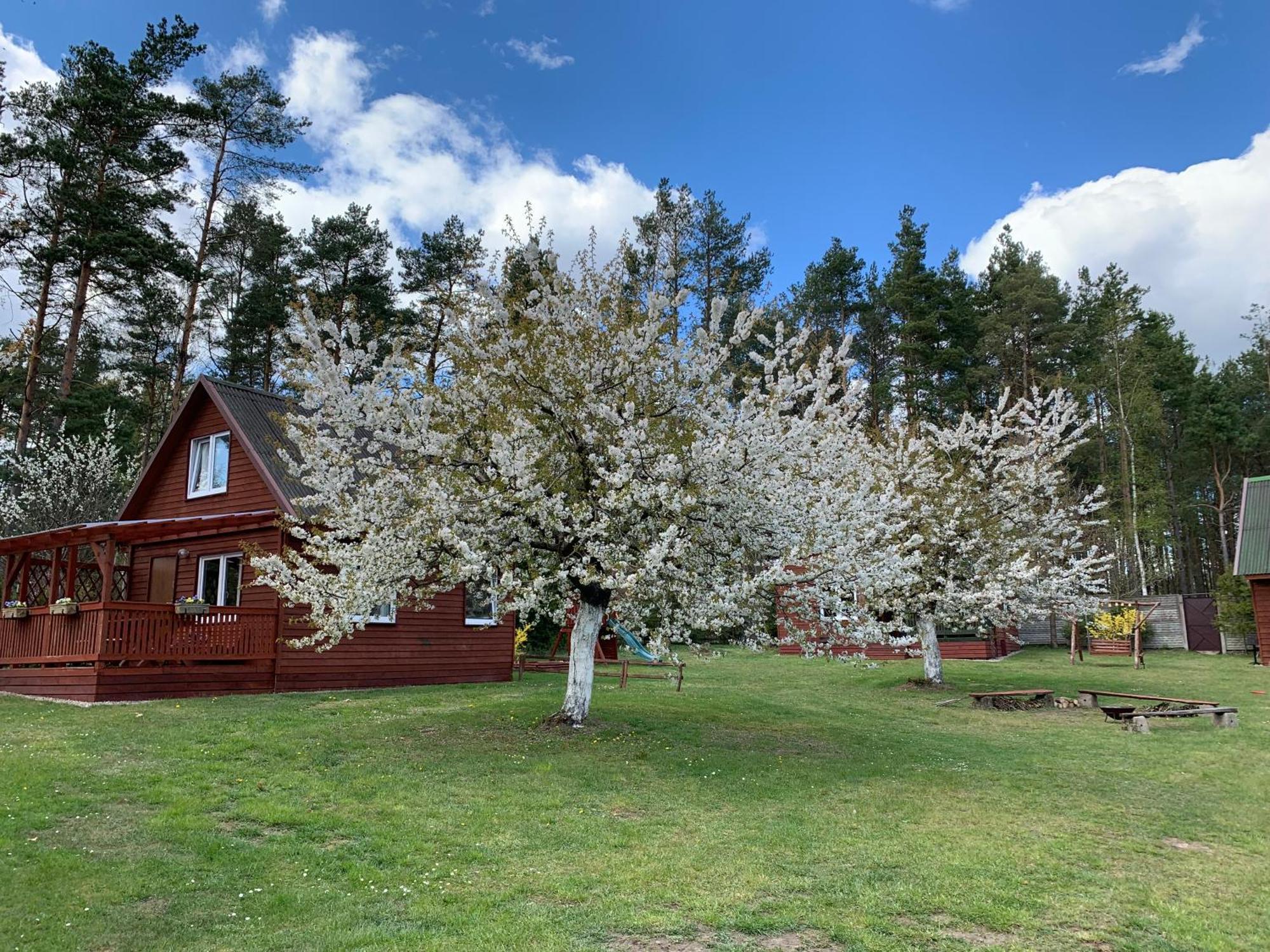 Gryfne Kaszuby Villa Kamienica Krolewska Luaran gambar